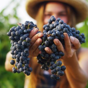 Bio. Cesta kterou jsme se vydali.